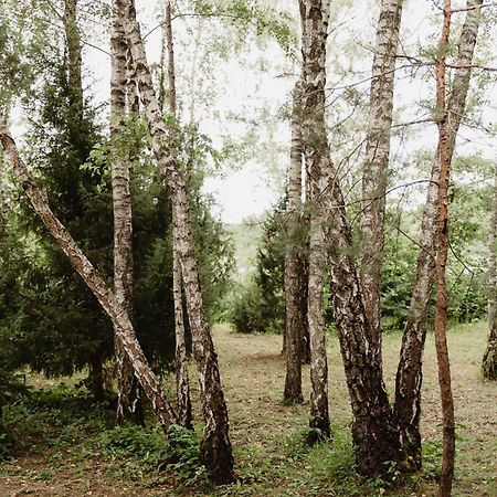 Kutsyuny Berzu Namelis - Birch Cabin מראה חיצוני תמונה