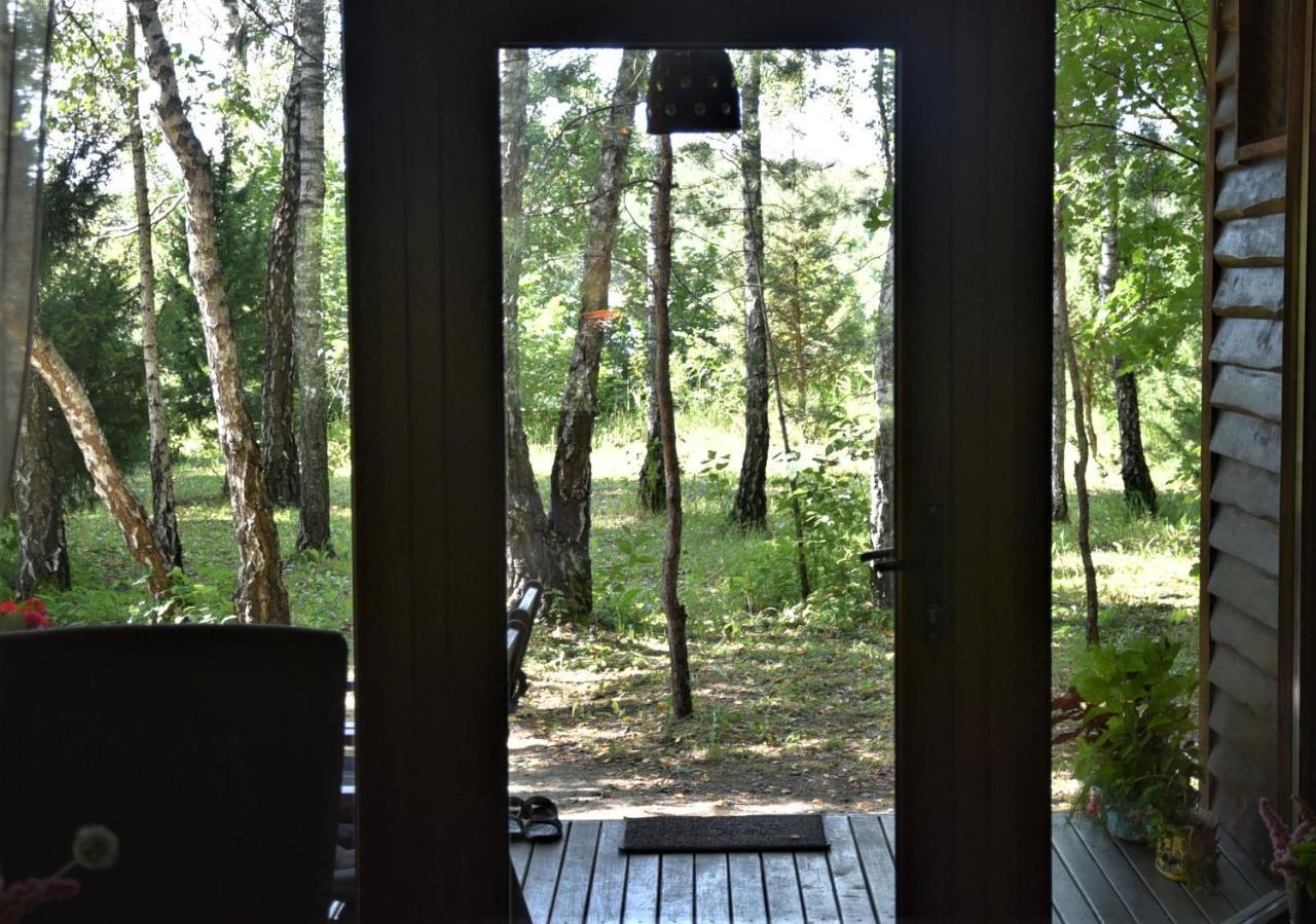 Kutsyuny Berzu Namelis - Birch Cabin מראה חיצוני תמונה