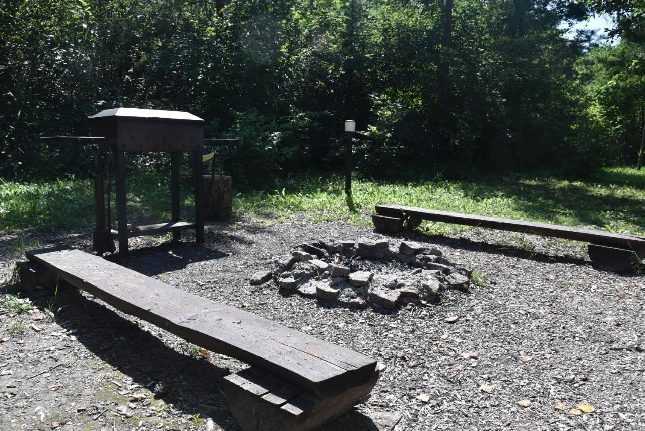Kutsyuny Berzu Namelis - Birch Cabin מראה חיצוני תמונה