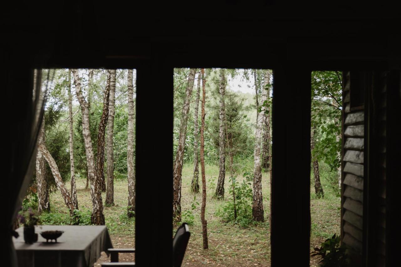 Kutsyuny Berzu Namelis - Birch Cabin מראה חיצוני תמונה