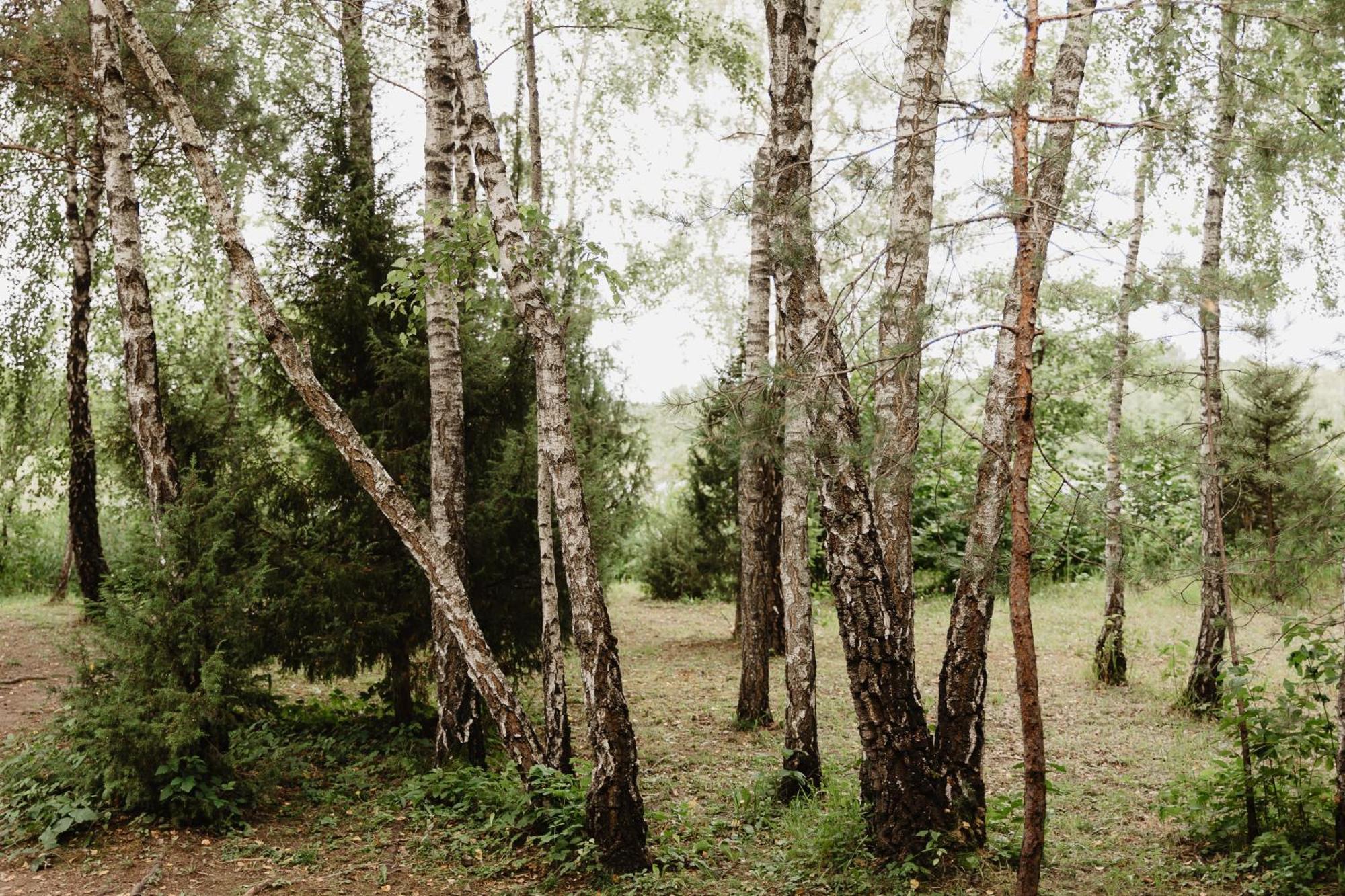 Kutsyuny Berzu Namelis - Birch Cabin מראה חיצוני תמונה